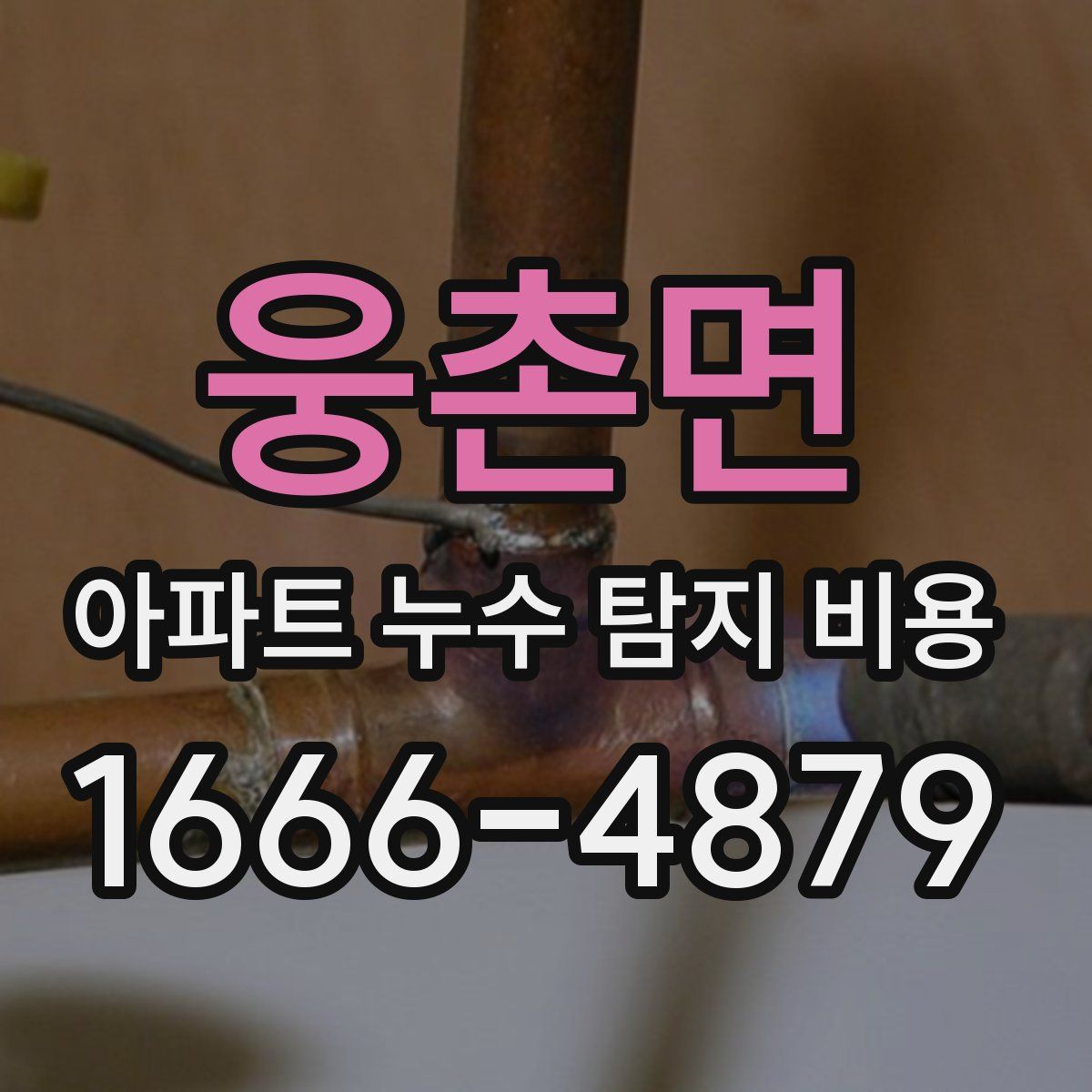 웅촌면 아파트 누수 탐지 비용