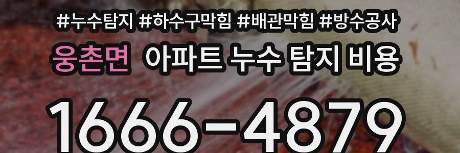 웅촌면 아파트 누수 탐지 비용