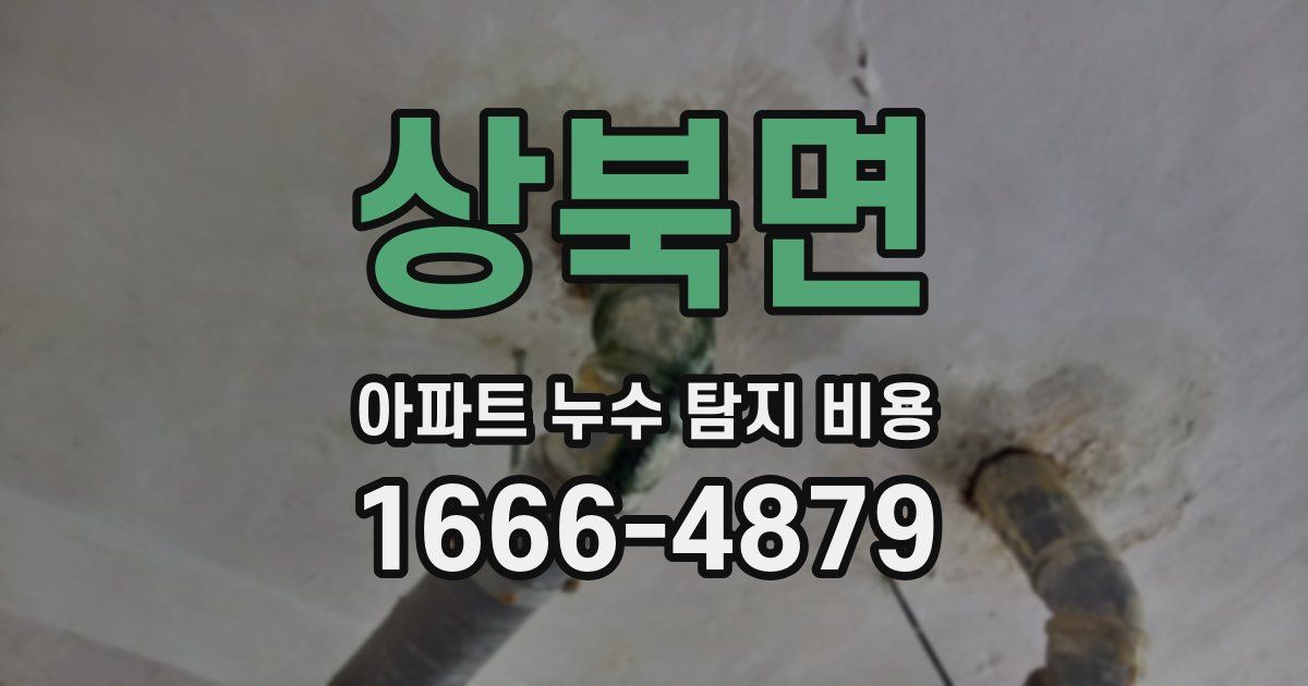 상북면 아파트 누수 탐지 비용