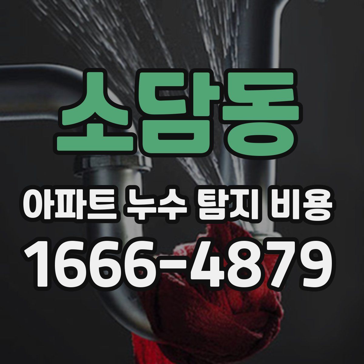 소담동 아파트 누수 탐지 비용