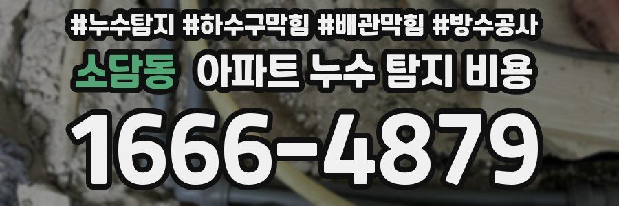 소담동 아파트 누수 탐지 비용