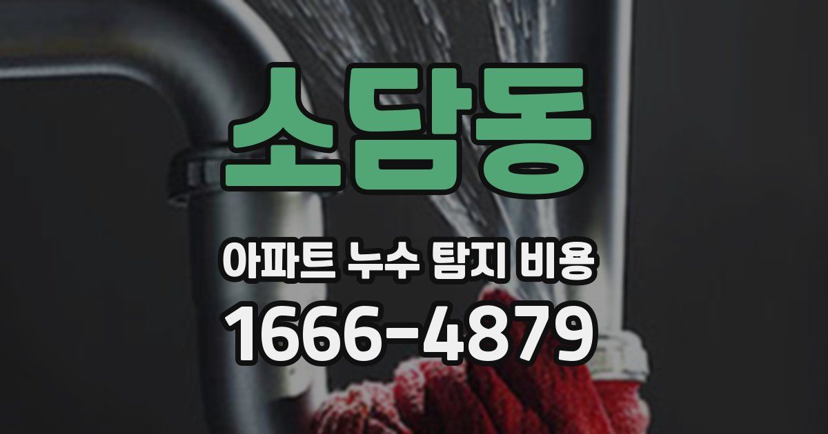 소담동 아파트 누수 탐지 비용