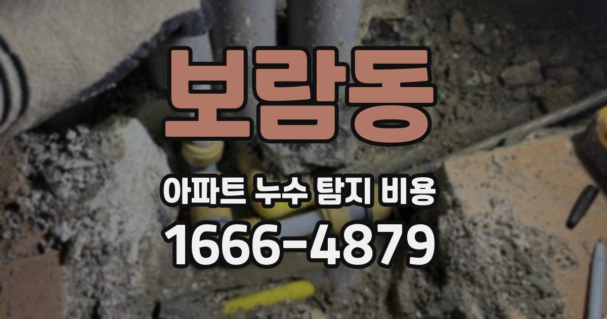 보람동 아파트 누수 탐지 비용