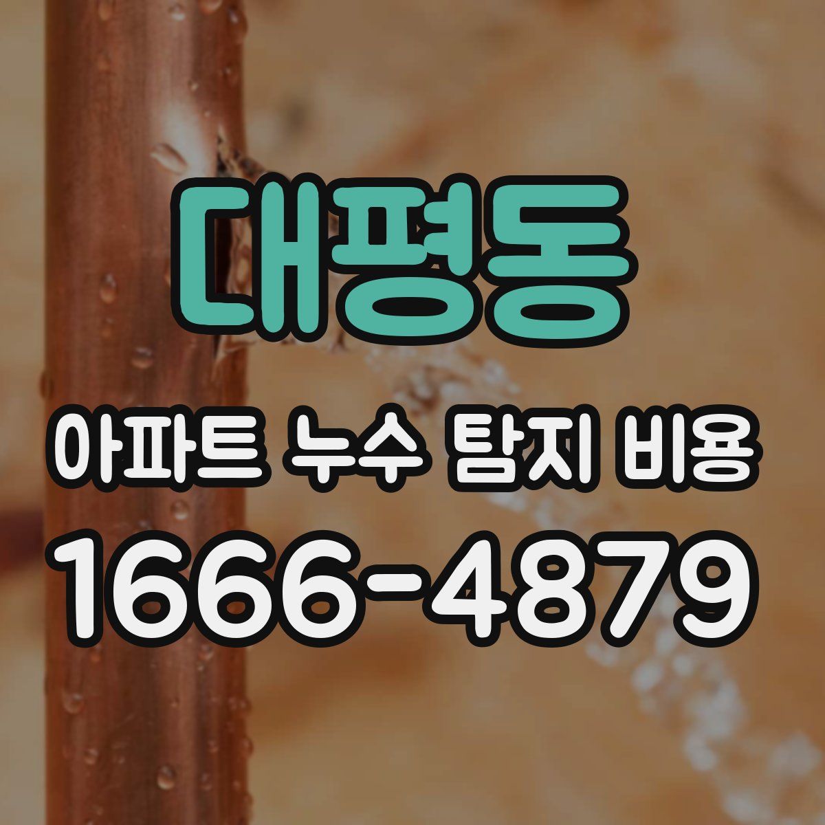 대평동 아파트 누수 탐지 비용