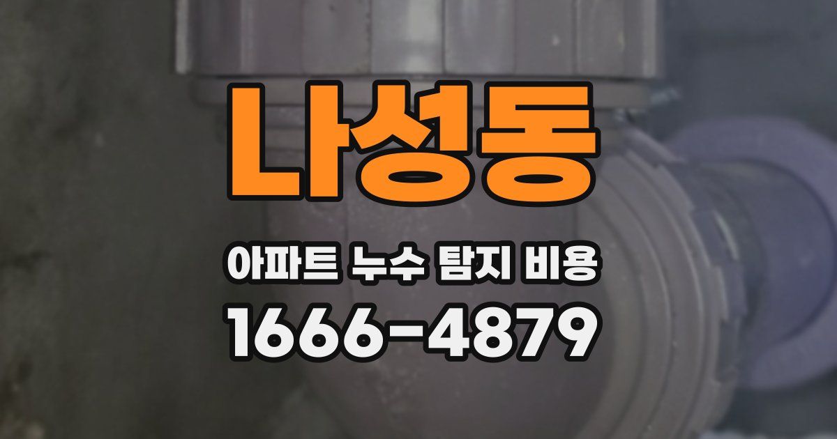 나성동 아파트 누수 탐지 비용