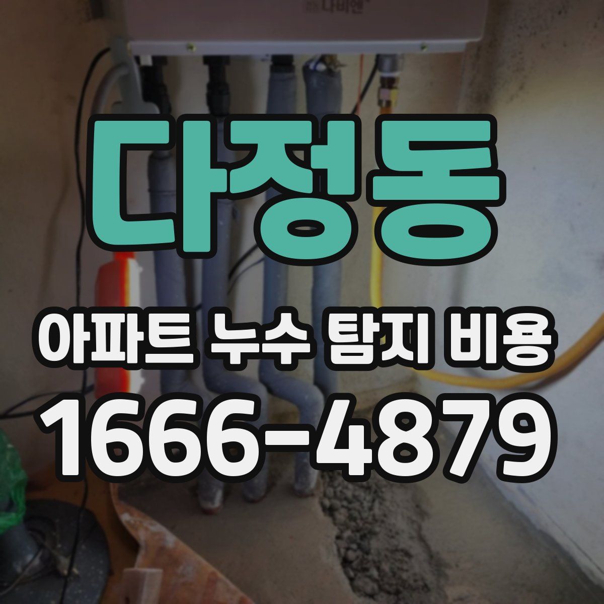 다정동 아파트 누수 탐지 비용