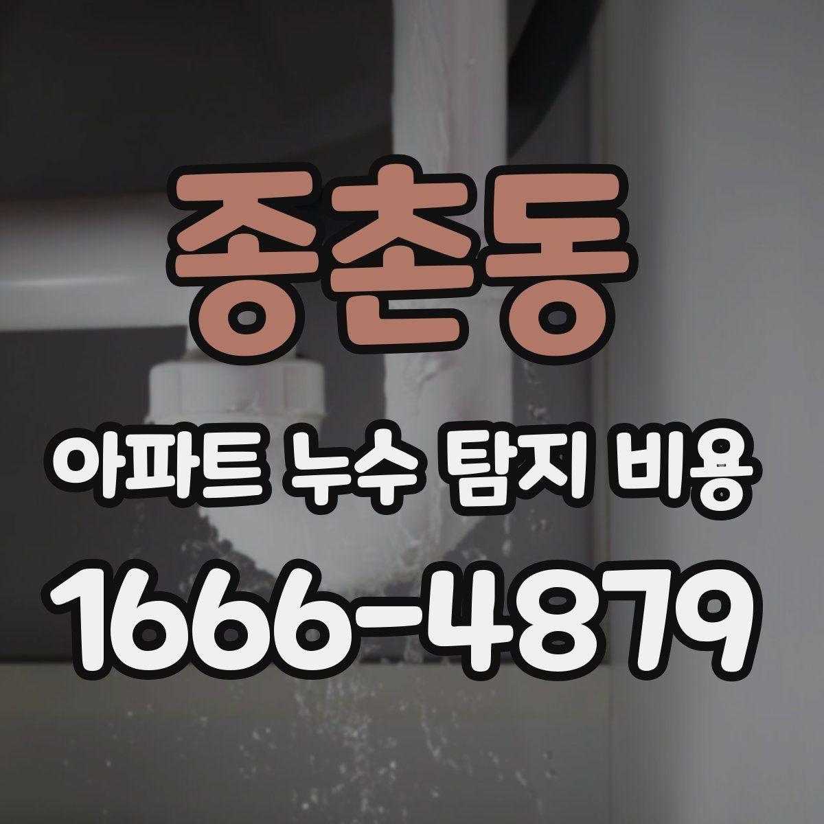 종촌동 아파트 누수 탐지 비용