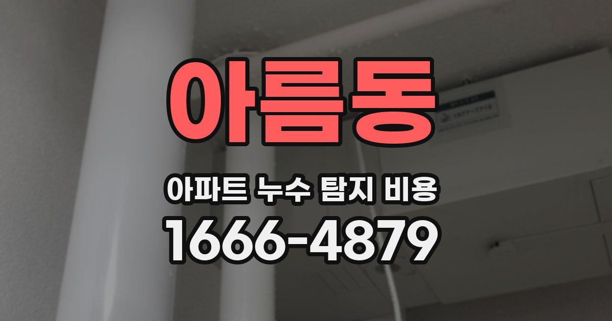 아름동 아파트 누수 탐지 비용