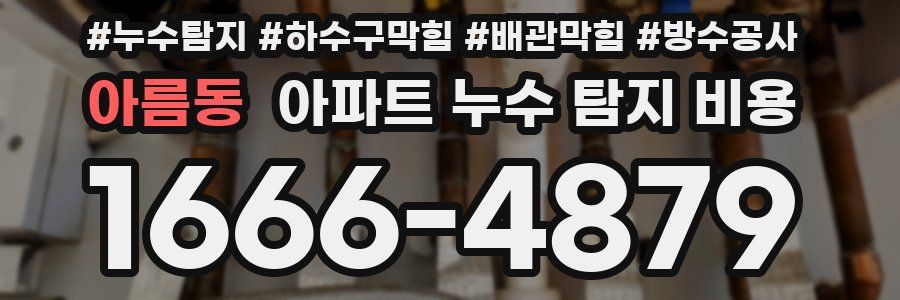 아름동 아파트 누수 탐지 비용