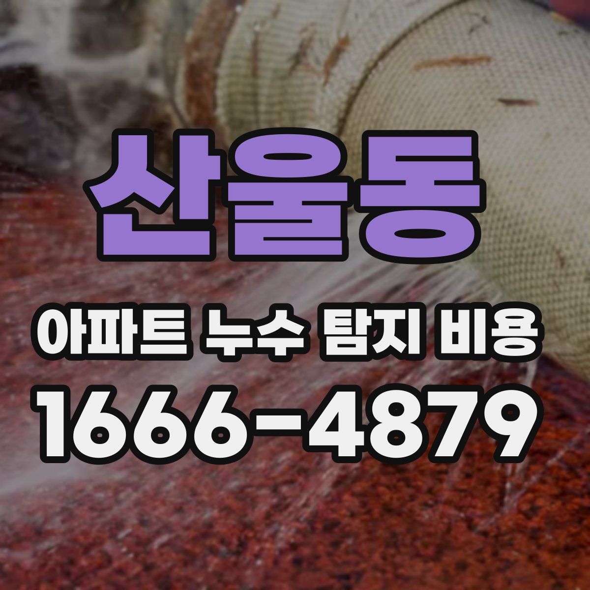 산울동 아파트 누수 탐지 비용