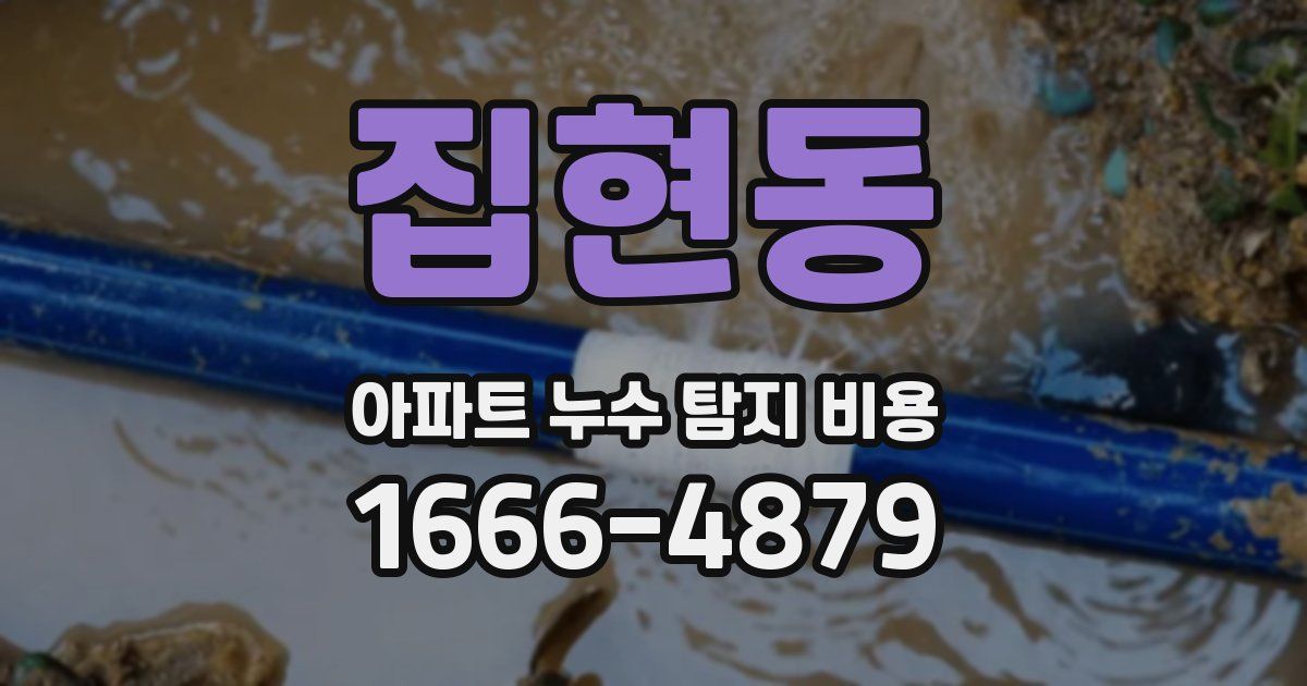 집현동 아파트 누수 탐지 비용