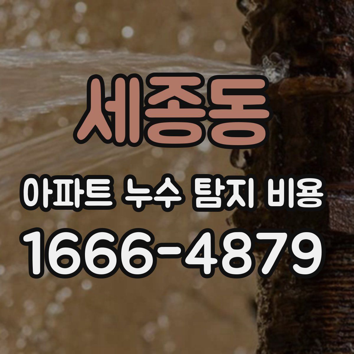 세종동 아파트 누수 탐지 비용