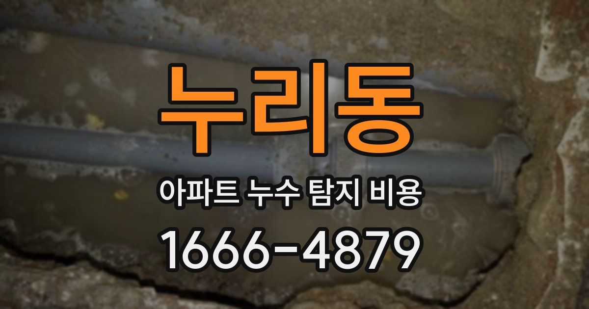 누리동 아파트 누수 탐지 비용