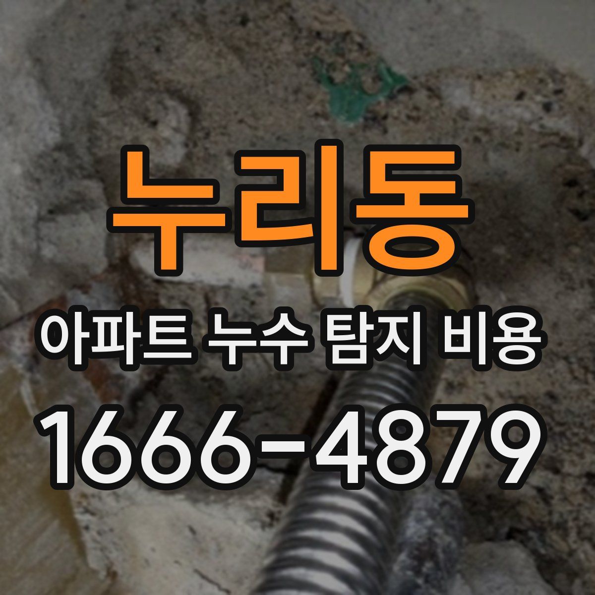 누리동 아파트 누수 탐지 비용