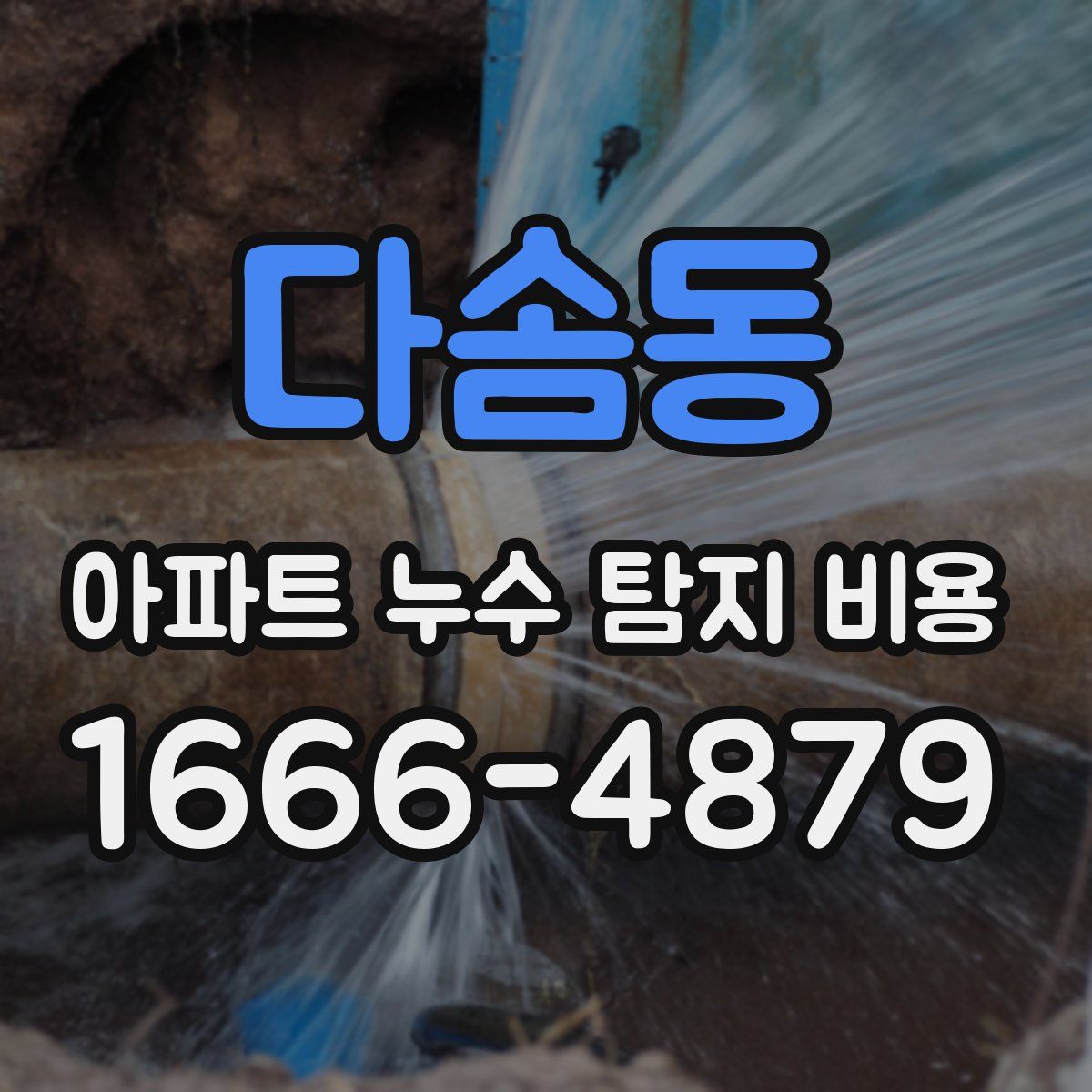다솜동 아파트 누수 탐지 비용