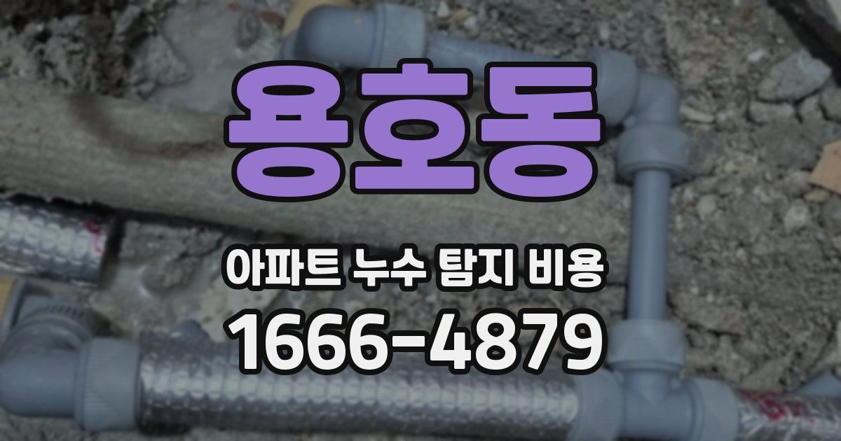 용호동 아파트 누수 탐지 비용