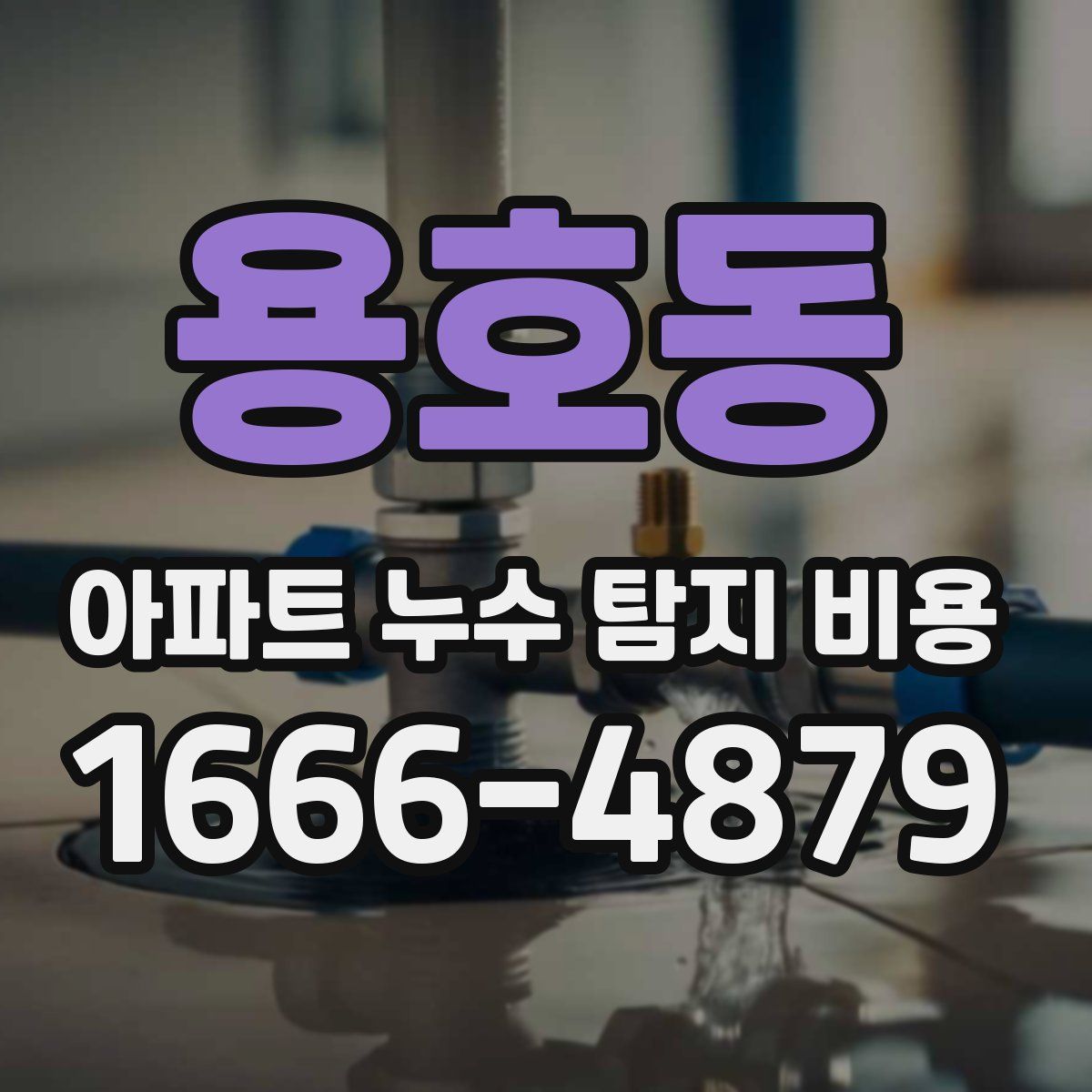 용호동 아파트 누수 탐지 비용