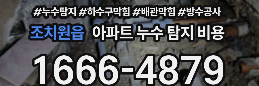 조치원읍 아파트 누수 탐지 비용