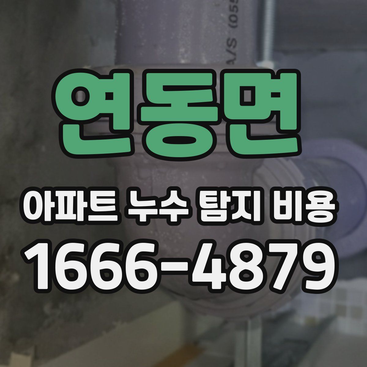 연동면 아파트 누수 탐지 비용
