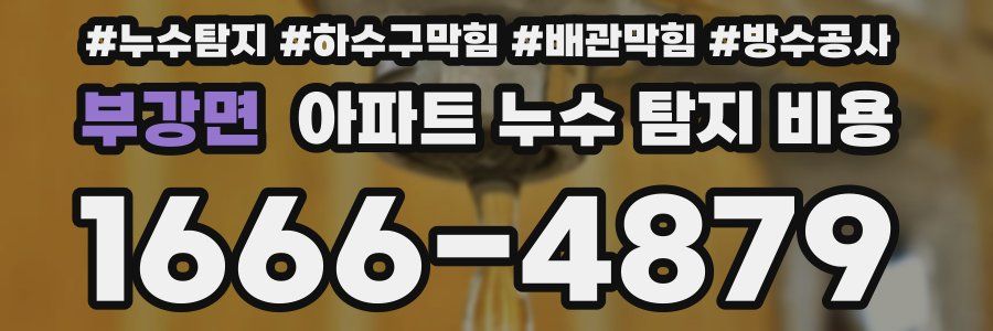 부강면 아파트 누수 탐지 비용