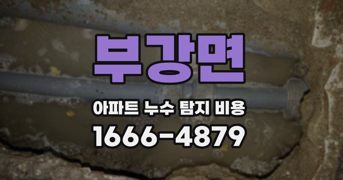 부강면 아파트 누수 탐지 비용