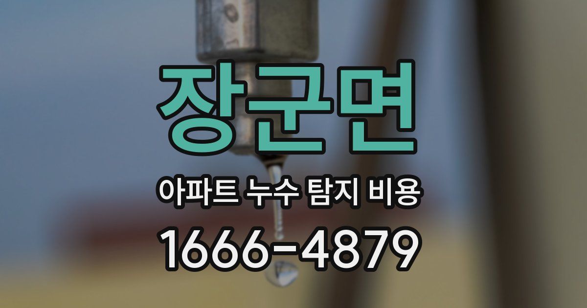 장군면 아파트 누수 탐지 비용