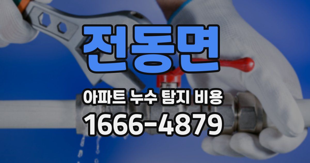 전동면 아파트 누수 탐지 비용