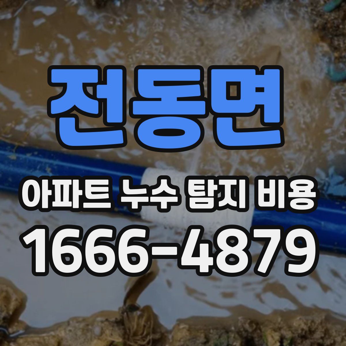 전동면 아파트 누수 탐지 비용