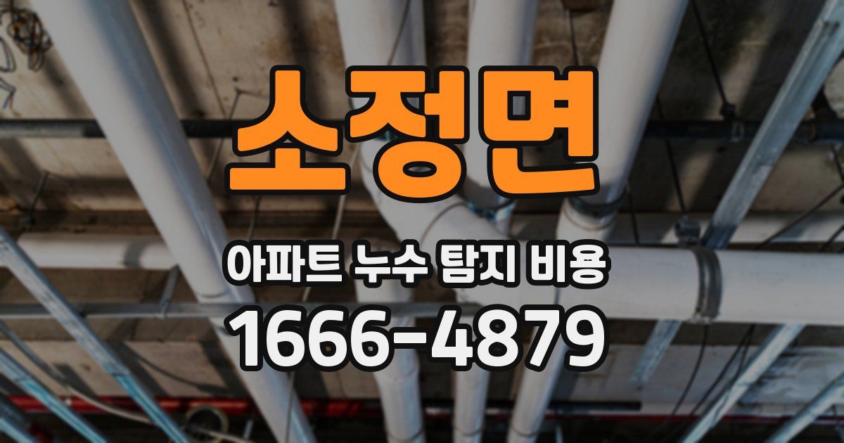 소정면 아파트 누수 탐지 비용