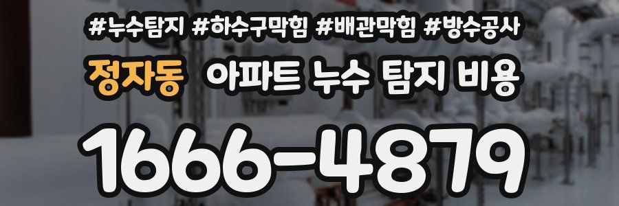 정자동 아파트 누수 탐지 비용