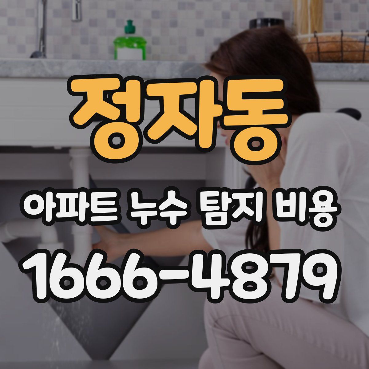 정자동 아파트 누수 탐지 비용