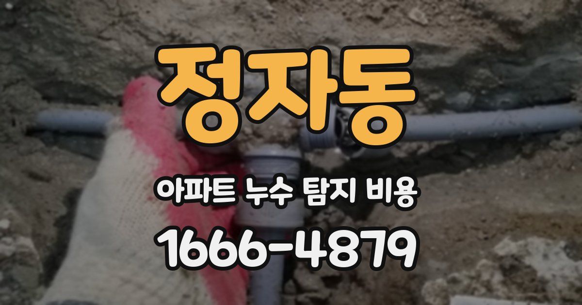 정자동 아파트 누수 탐지 비용