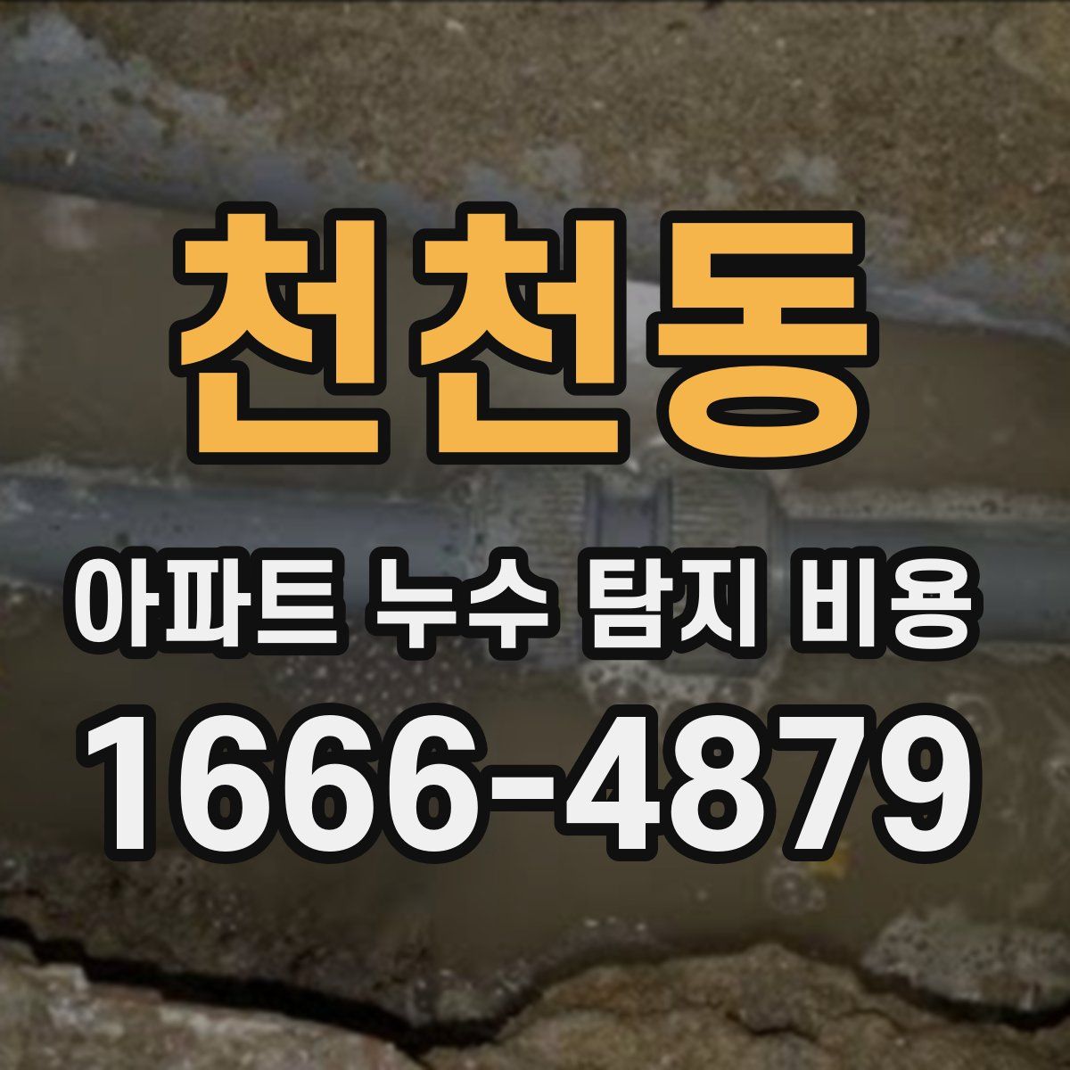 천천동 아파트 누수 탐지 비용