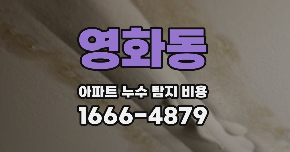영화동 아파트 누수 탐지 비용