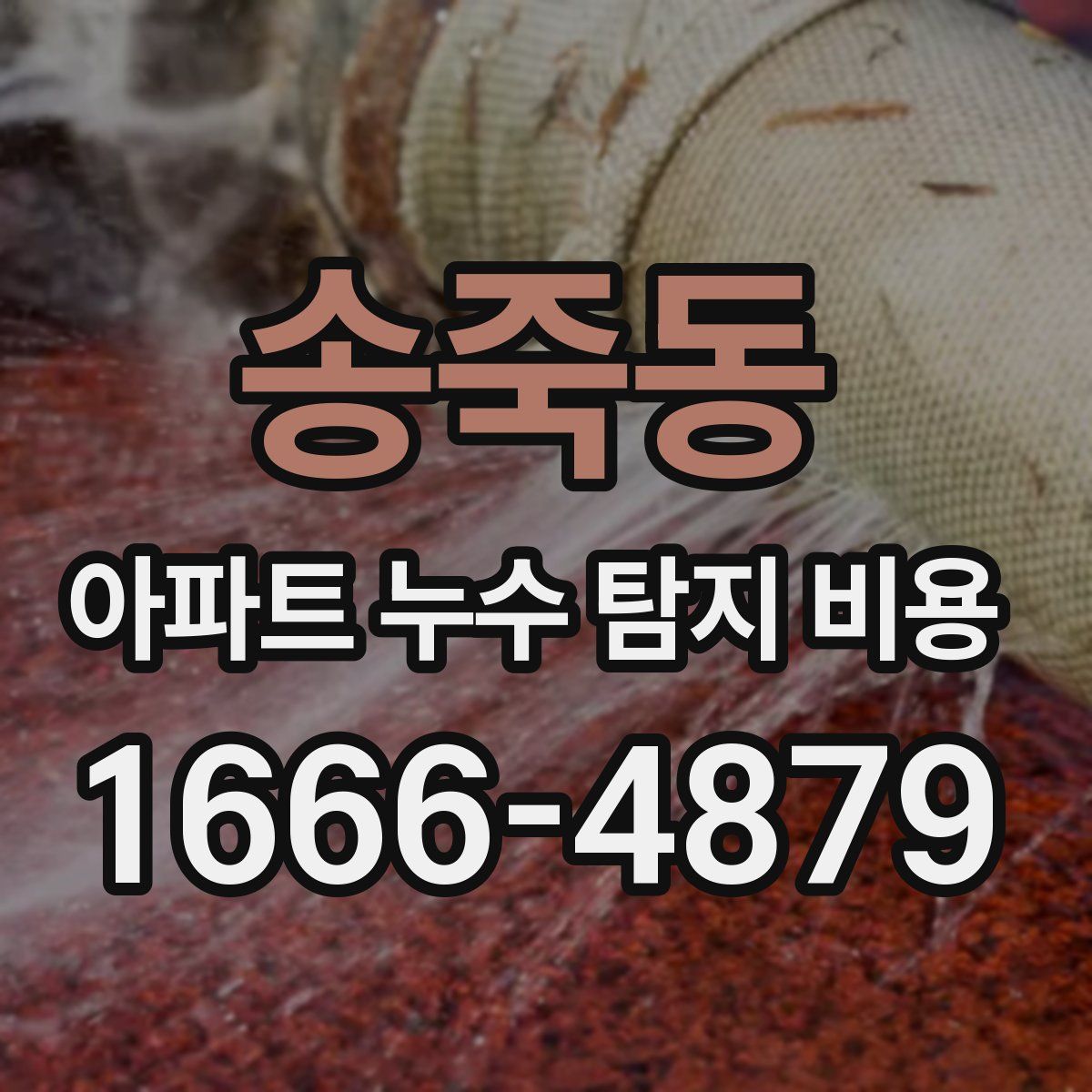 송죽동 아파트 누수 탐지 비용