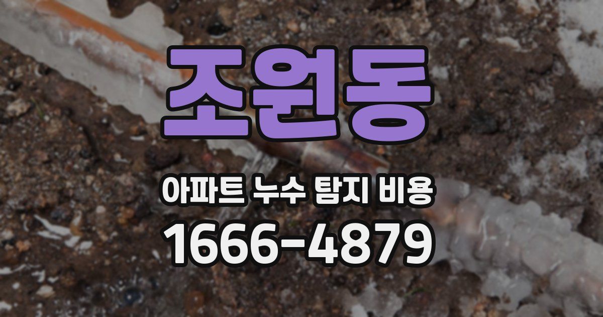 조원동 아파트 누수 탐지 비용
