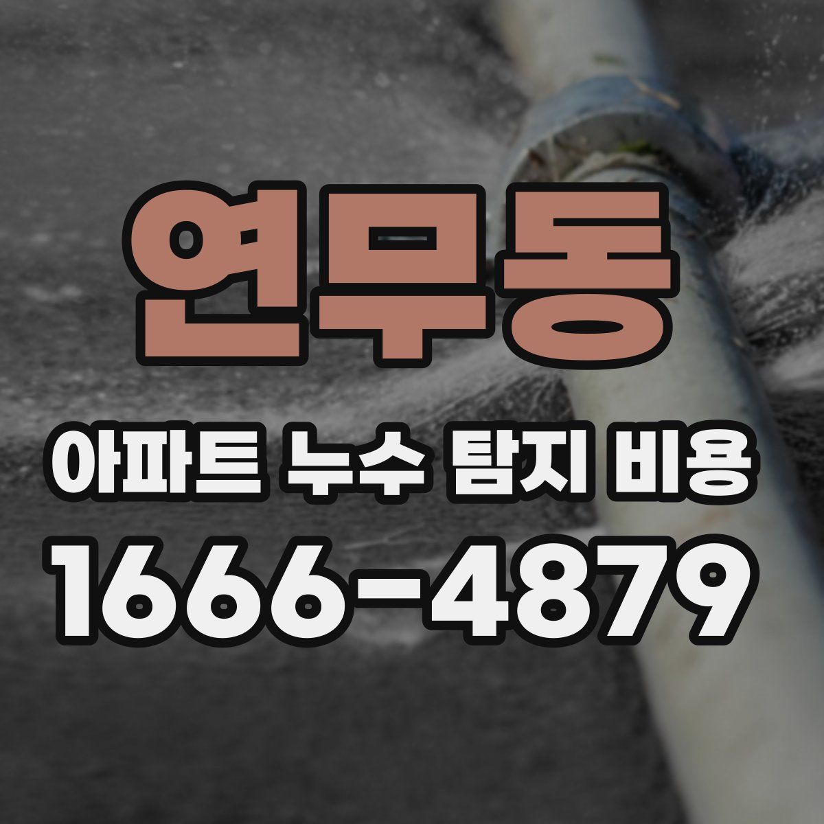 연무동 아파트 누수 탐지 비용