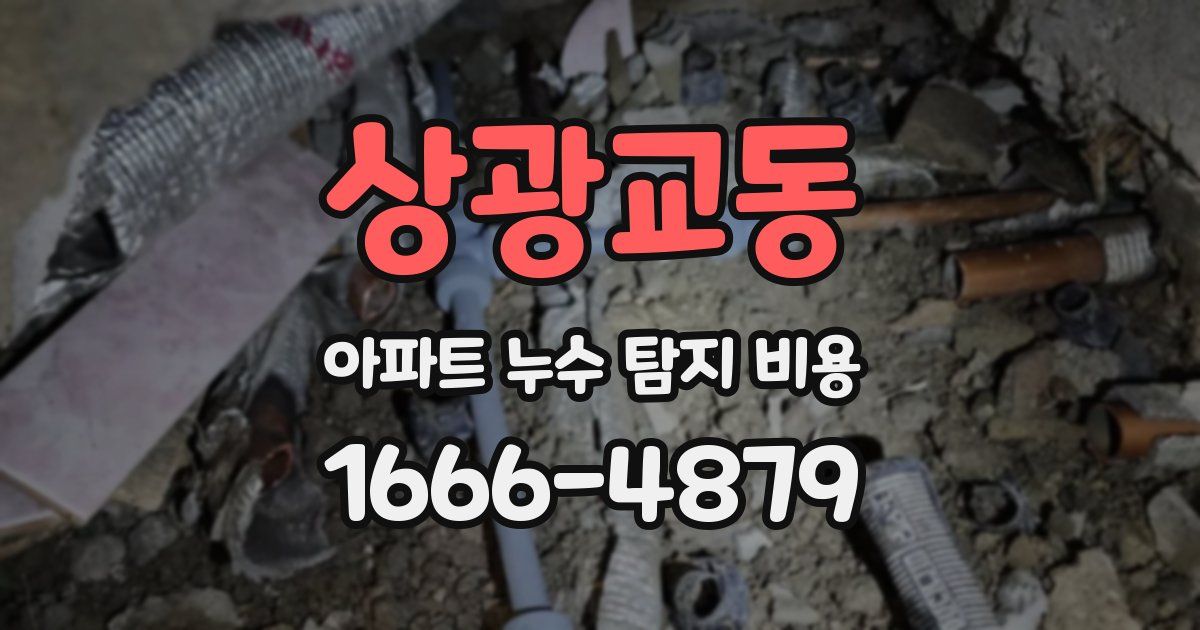 상광교동 아파트 누수 탐지 비용