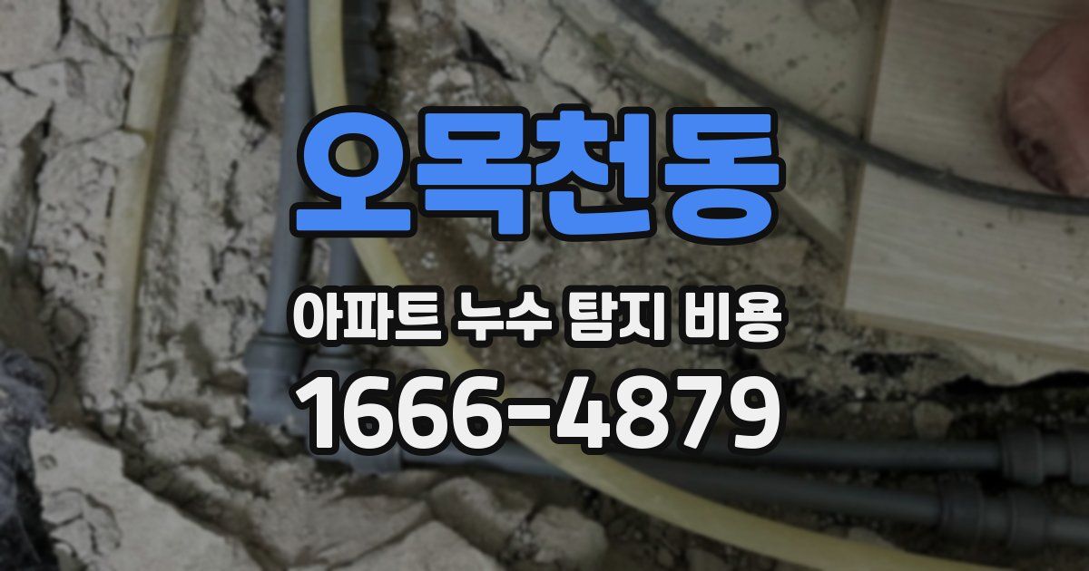 오목천동 아파트 누수 탐지 비용