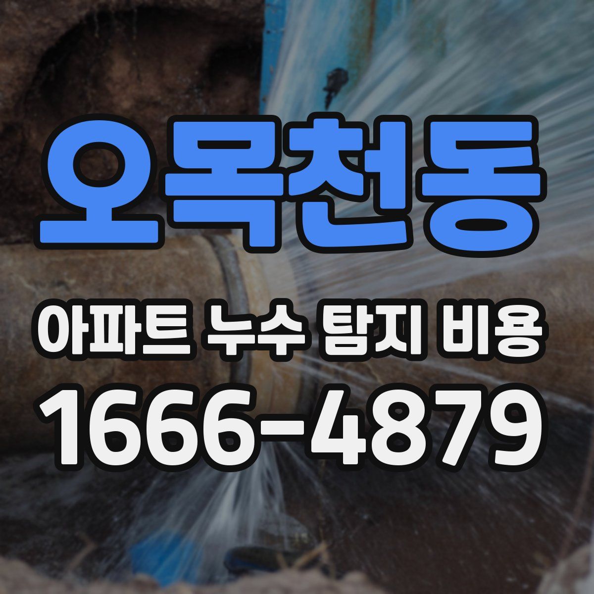 오목천동 아파트 누수 탐지 비용