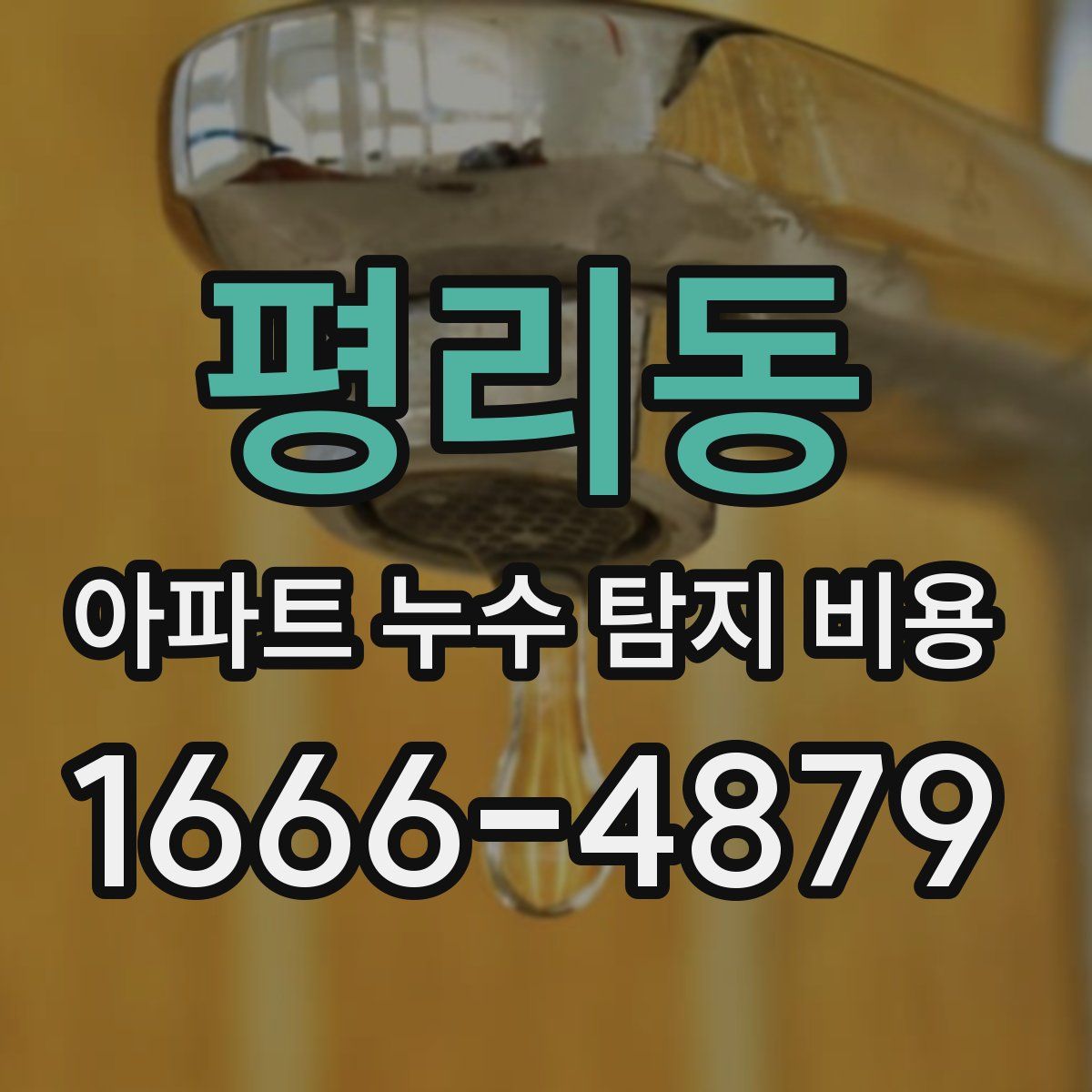 평리동 아파트 누수 탐지 비용