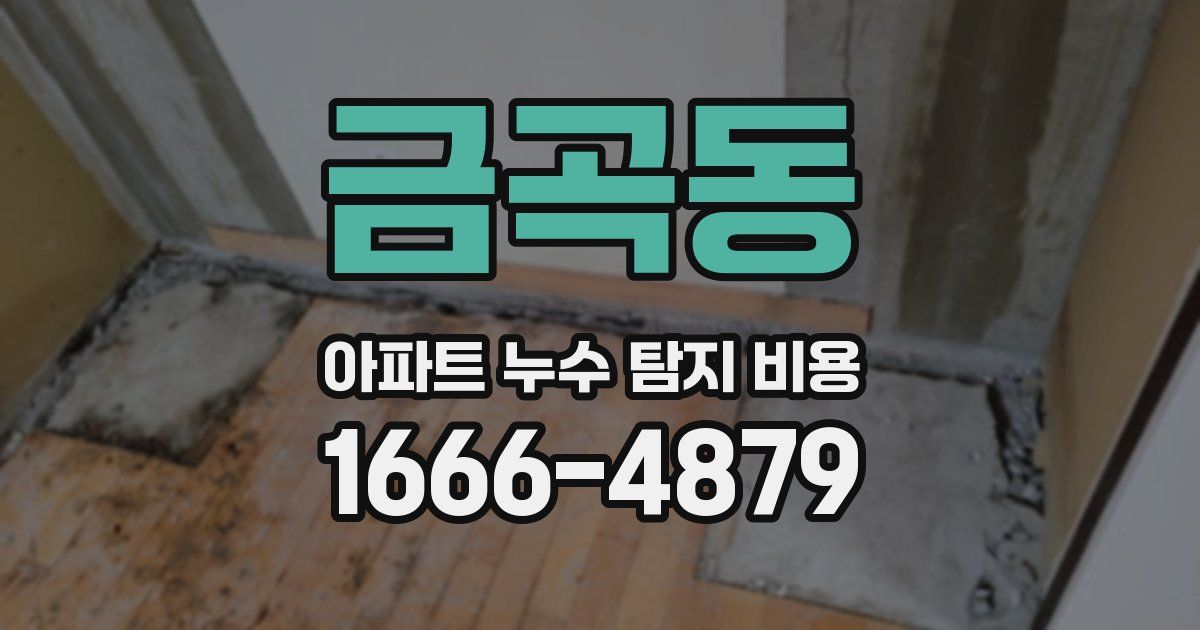 금곡동 아파트 누수 탐지 비용