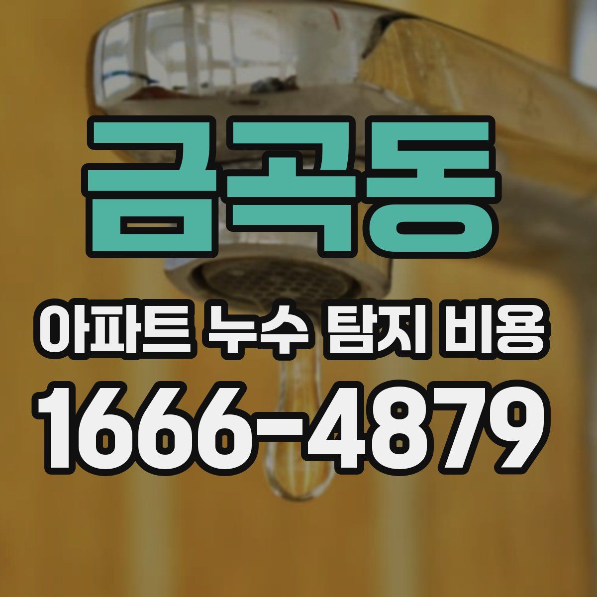 금곡동 아파트 누수 탐지 비용