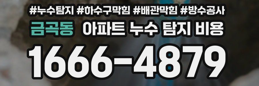 금곡동 아파트 누수 탐지 비용