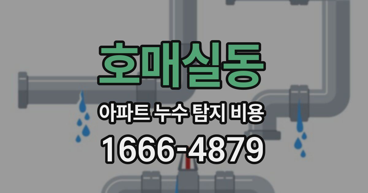 호매실동 아파트 누수 탐지 비용