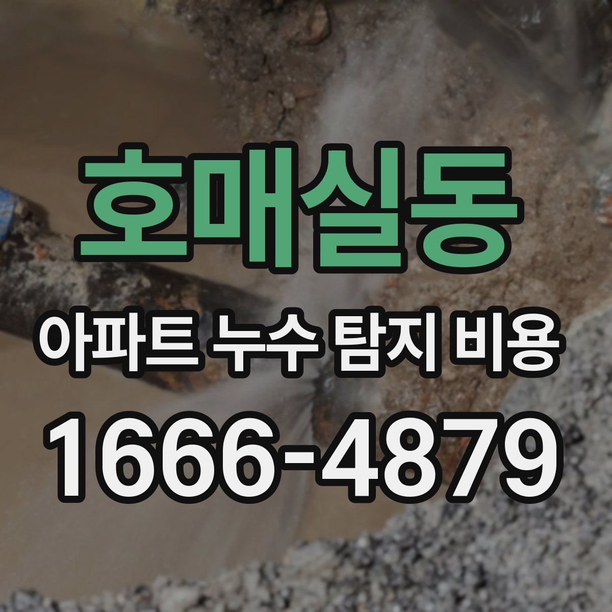 호매실동 아파트 누수 탐지 비용