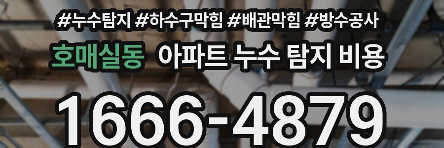 호매실동 아파트 누수 탐지 비용