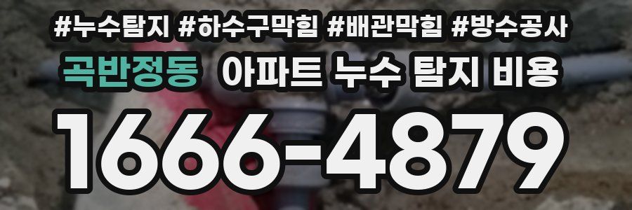 곡반정동 아파트 누수 탐지 비용
