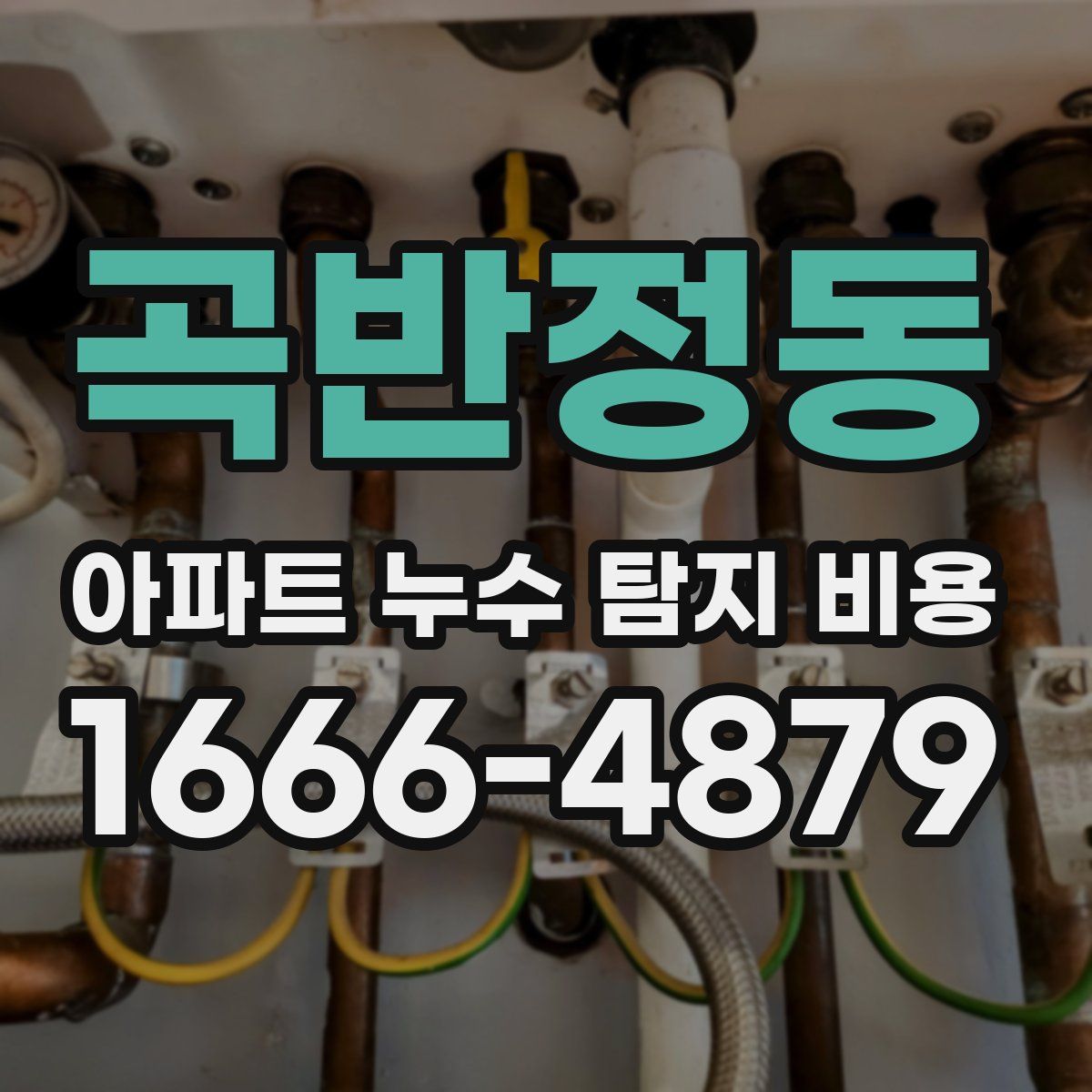 곡반정동 아파트 누수 탐지 비용