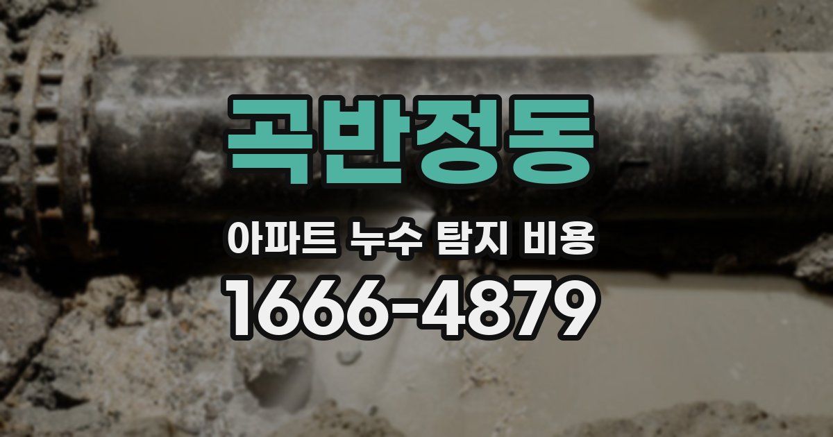 곡반정동 아파트 누수 탐지 비용